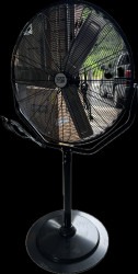 Standing Fan